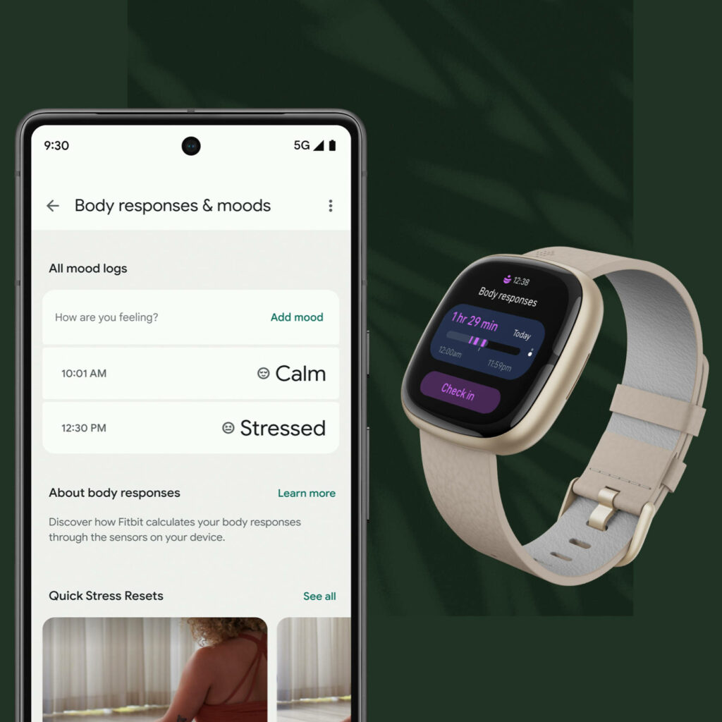 Fitbit Sense 2 Stress Monitor