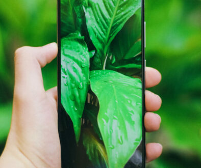 How to Reduce Your Tech Carbon Footprint: Sustainable Tech Practices