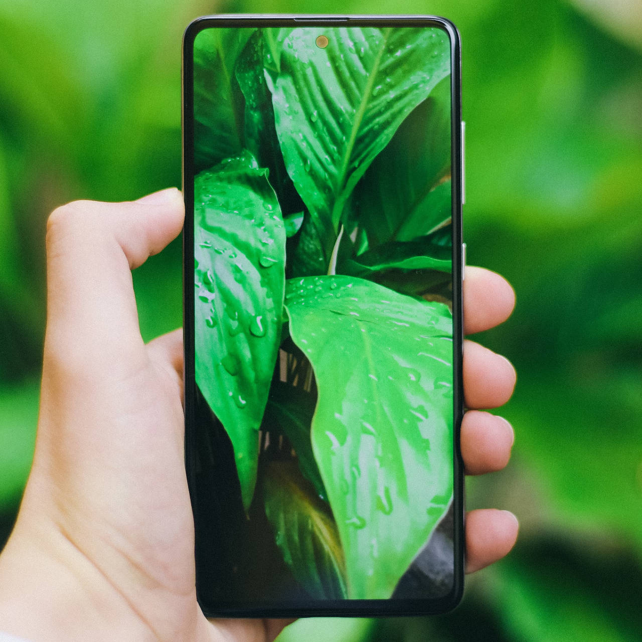 How to Reduce Your Tech Carbon Footprint: Sustainable Tech Practices