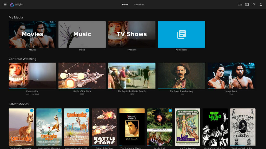 Jellyfin Media System Interface