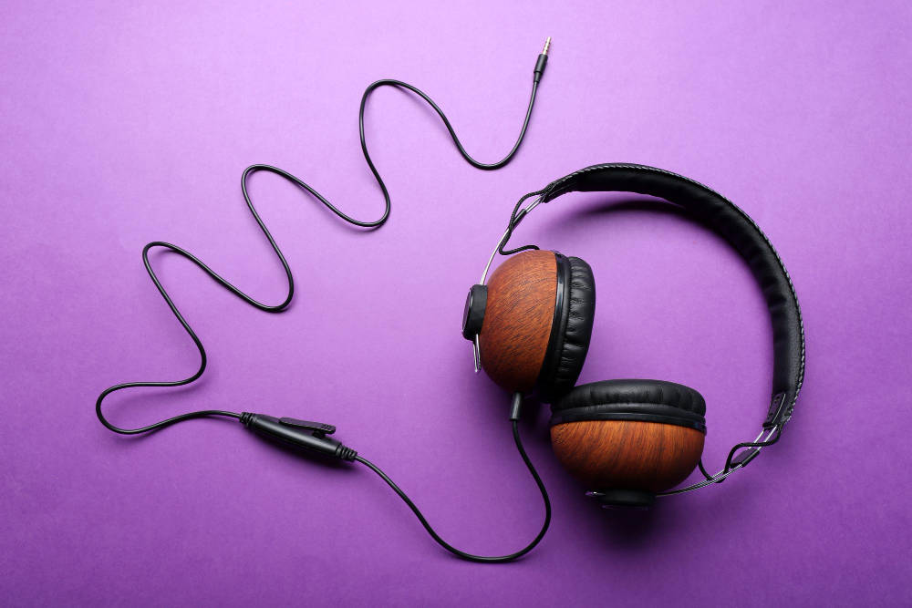 287074 old headphones
