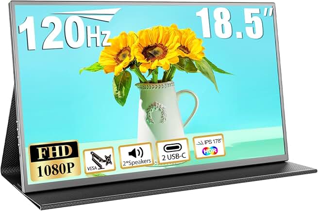 18.5 Inch Large Portable Monitor for Laptop FHD